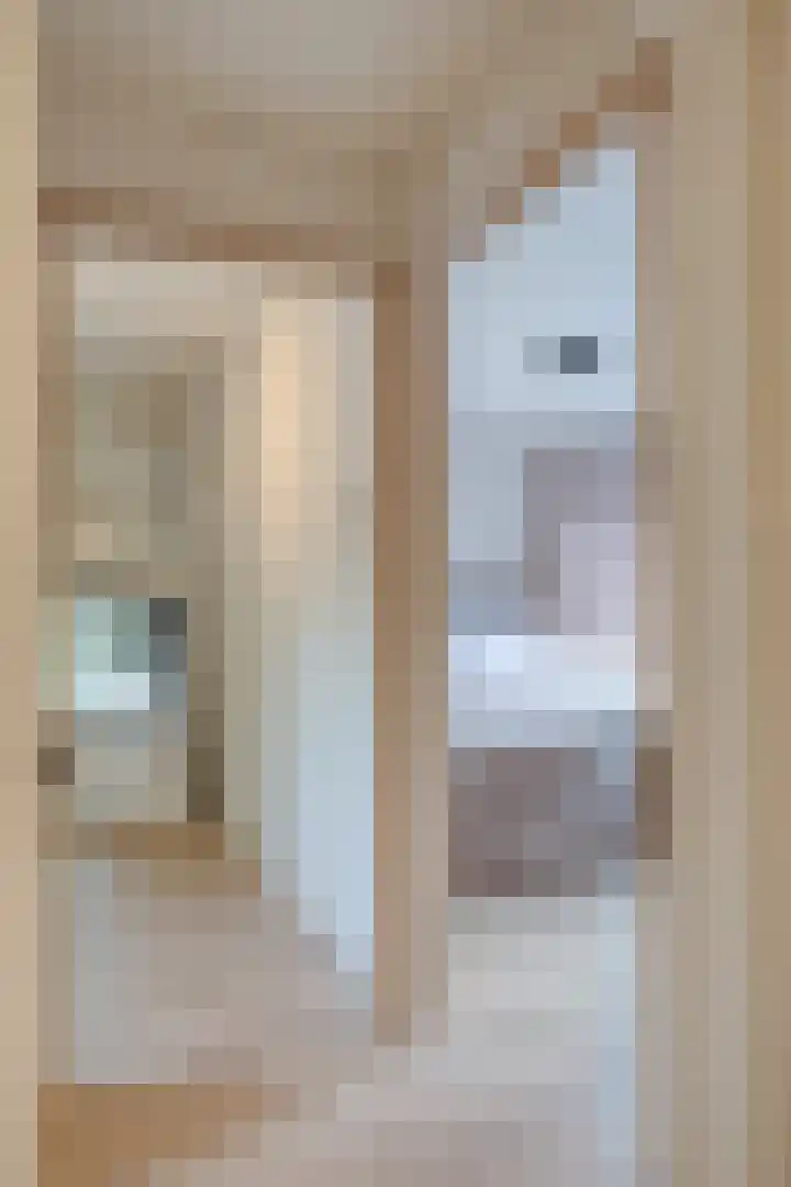 Hilstraat 3 Oude-Tonge thumbnail 20