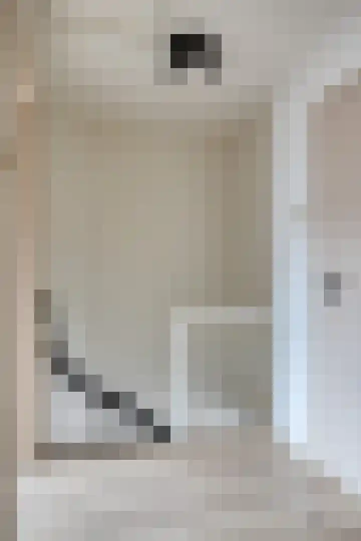 Hilstraat 3 Oude-Tonge thumbnail 21