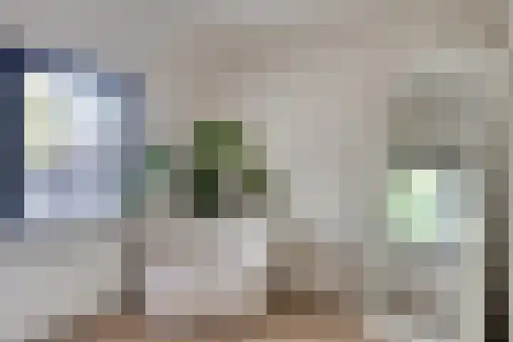 Hilstraat 3 Oude-Tonge thumbnail 26