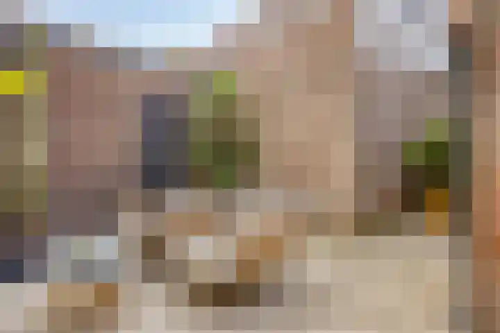 Hilstraat 3 Oude-Tonge thumbnail 29