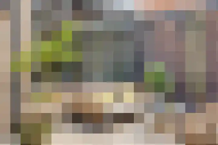 Hilstraat 3 Oude-Tonge thumbnail 31