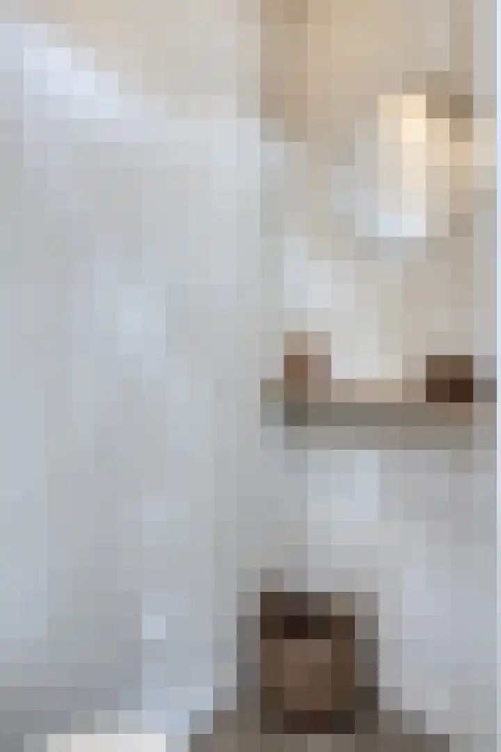 Hilstraat 3 Oude-Tonge thumbnail 8