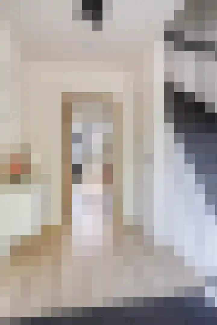 Hilstraat 3 Oude-Tonge thumbnail 9