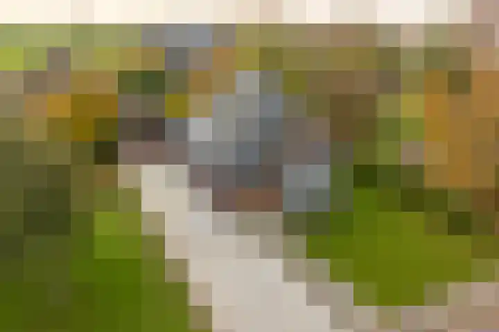 Himmelumerdyk 4 Warns