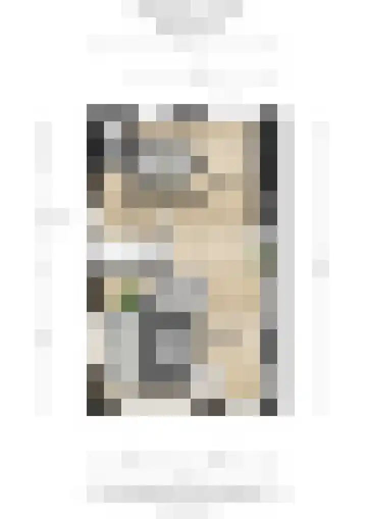 Hinkerstraat 19 Cothen thumbnail 11