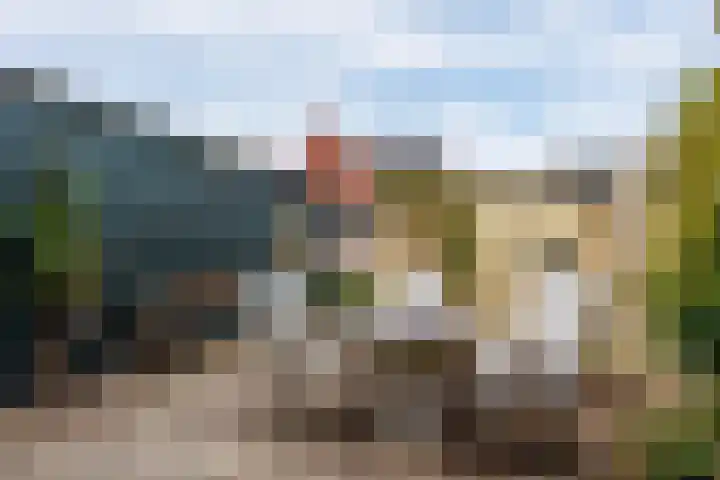 Hinkerstraat 19 Cothen thumbnail 18