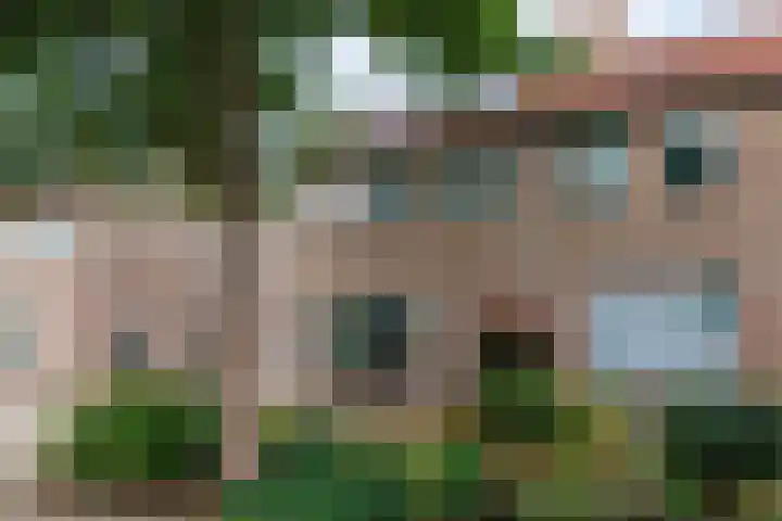 Hinkerstraat 19 Cothen thumbnail 43