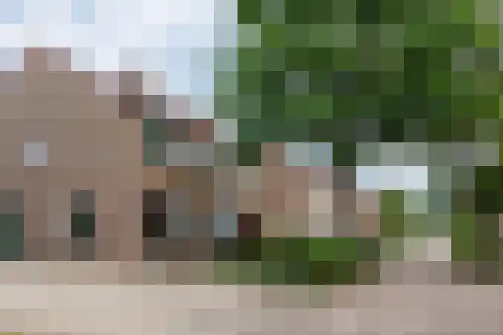 Hinkerstraat 19 Cothen thumbnail 45