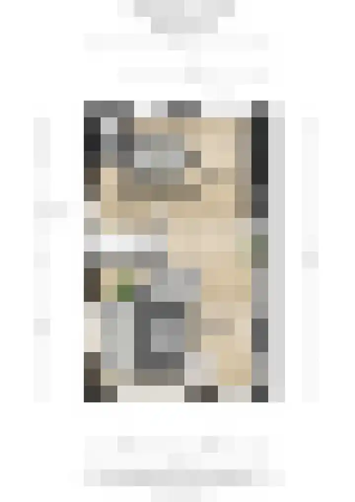 Hinkerstraat 19 Cothen thumbnail 47