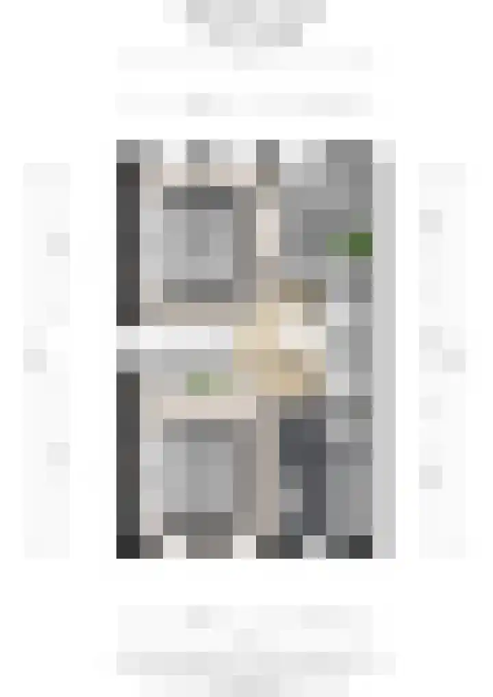 Hinkerstraat 19 Cothen thumbnail 56
