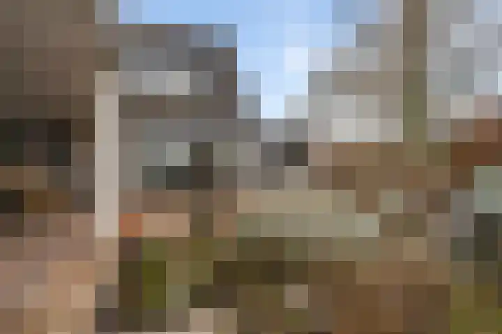 Hinkert 92 Nederweert thumbnail 43