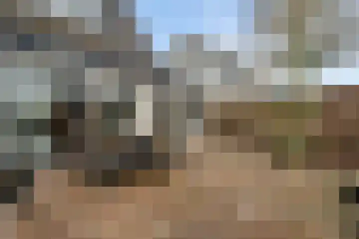 Hinkert 92 Nederweert thumbnail 45