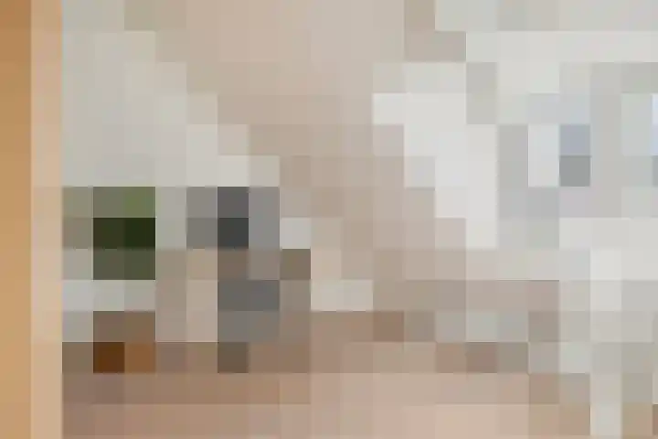 Hintham 4 Rosmalen thumbnail 36