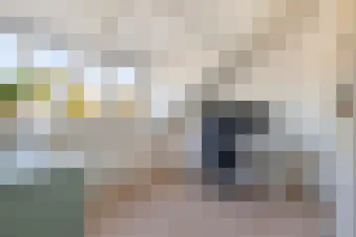 Hintham 4 Rosmalen thumbnail 38