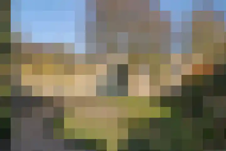 Hintham 4 Rosmalen thumbnail 42
