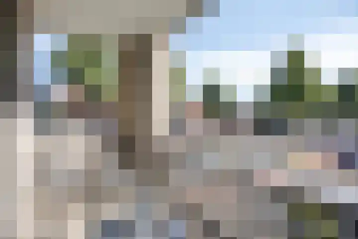 Hintham 51 Rosmalen thumbnail 28