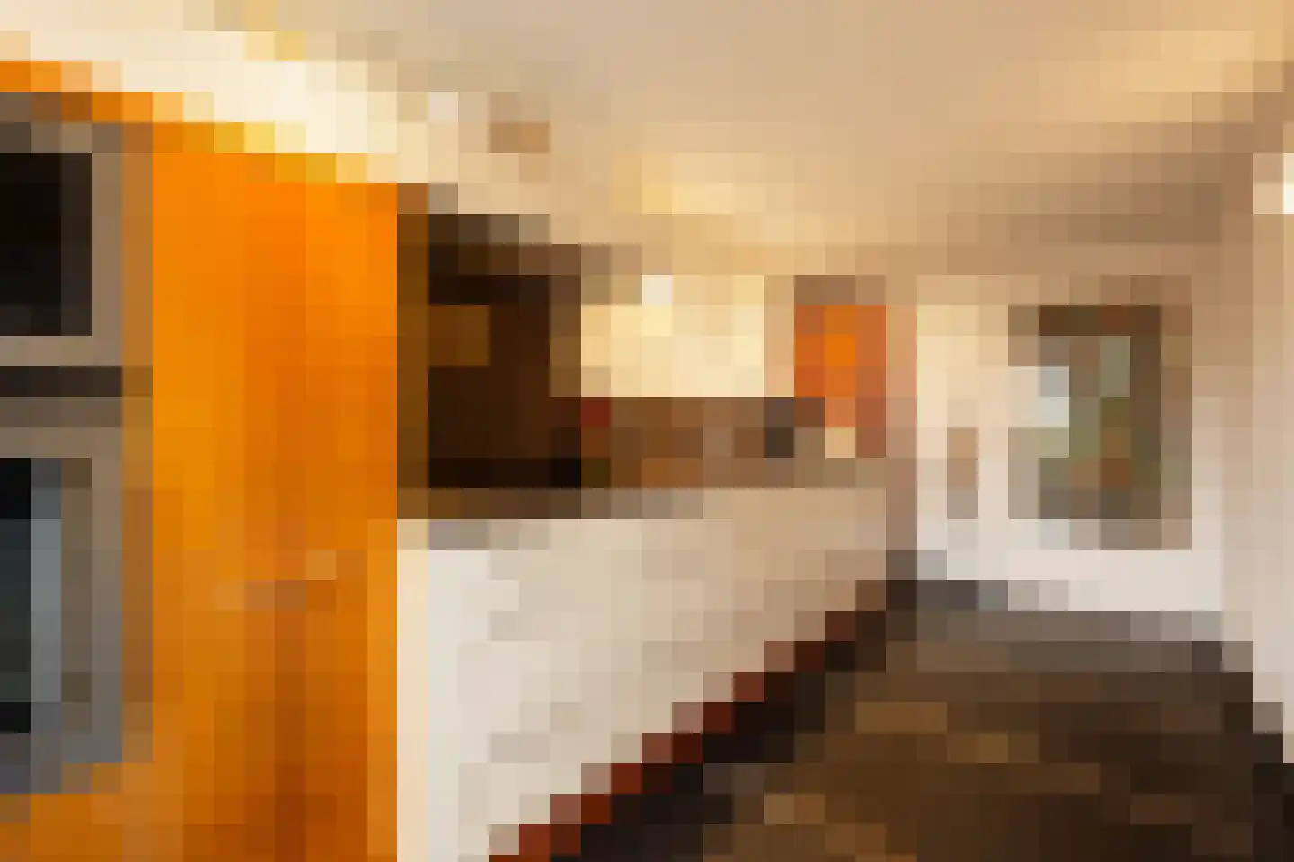 Hinthamerstraat 116 's-Hertogenbosch thumbnail 37