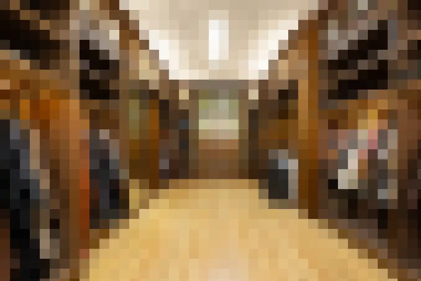 Hinthamerstraat 116 's-Hertogenbosch thumbnail 6