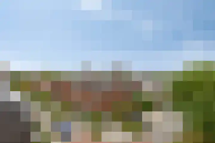 Hippocrateslaan 34 d Groningen thumbnail 16