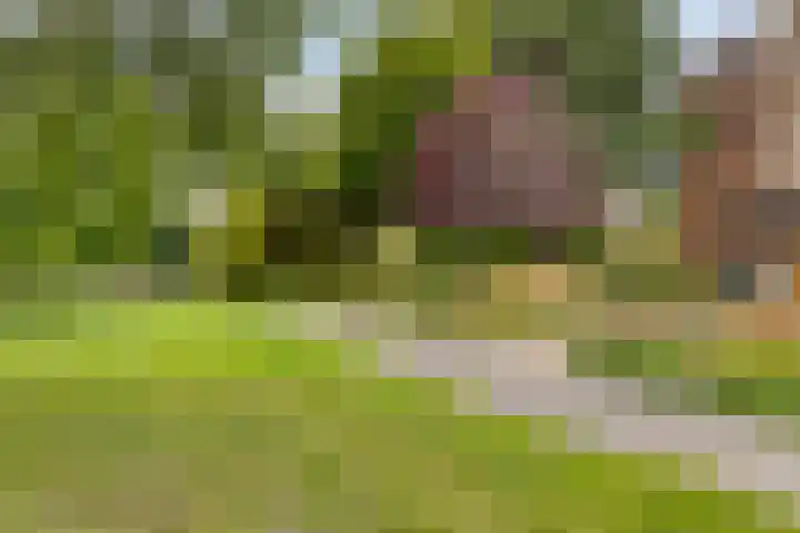 Hippocrateslaan 34 d Groningen thumbnail 33