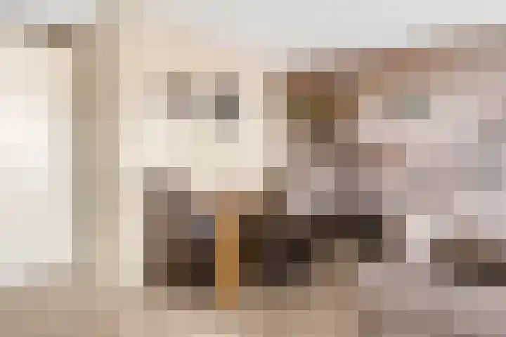 Hippocrateslaan 42 d Groningen thumbnail 15
