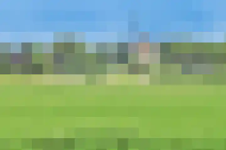 Hippocrateslaan 42 d Groningen thumbnail 16