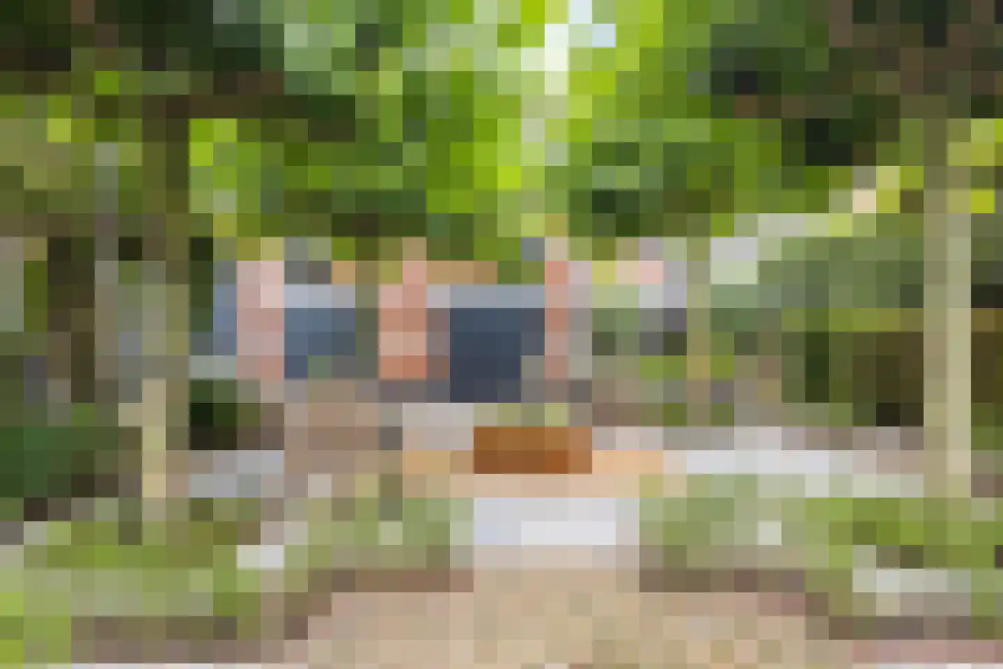 Hippocrateslaan 42 d Groningen thumbnail 19