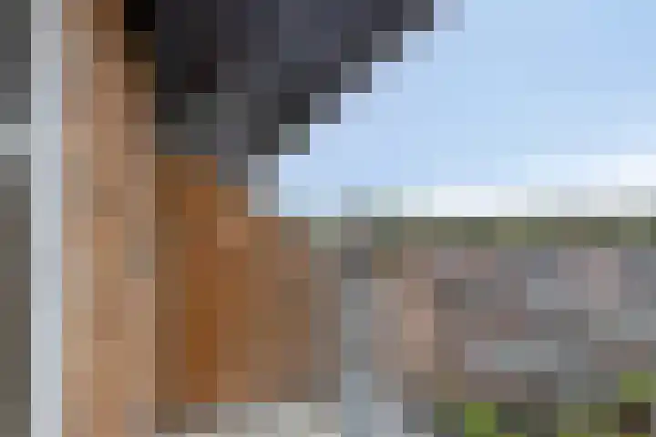Hippocrateslaan 42 d Groningen thumbnail 22