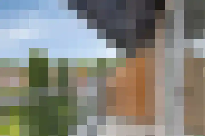 Hippocrateslaan 42 d Groningen thumbnail 23