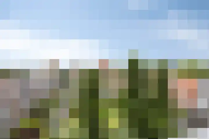 Hippocrateslaan 42 d Groningen thumbnail 24