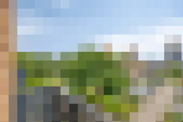 Hippocrateslaan 42 d Groningen thumbnail 25