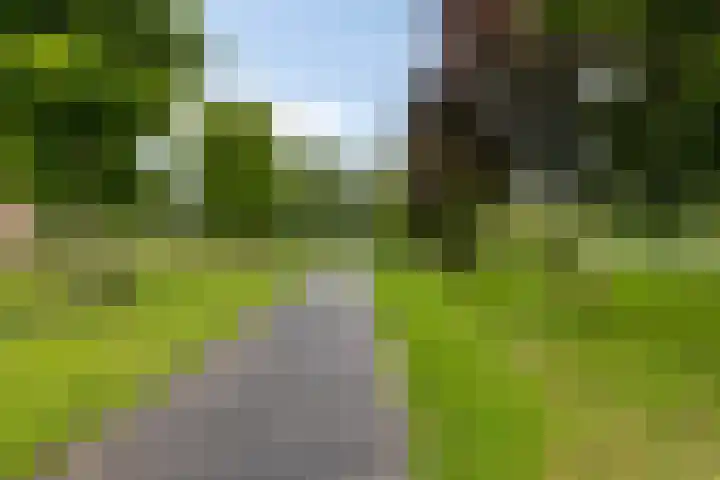 Hippocrateslaan 42 d Groningen thumbnail 26