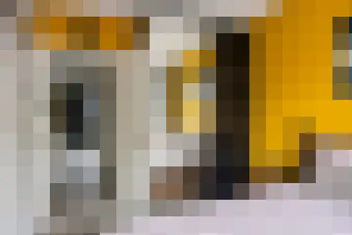 Hisveltplein 26 Arnhem thumbnail 21
