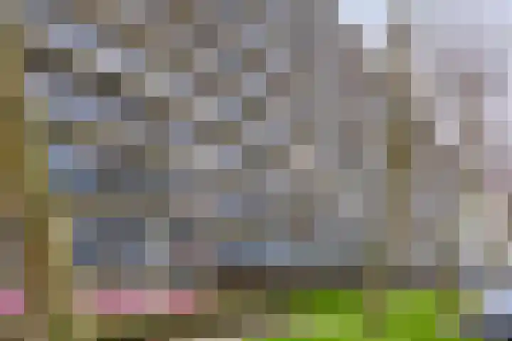 Hisveltplein 26 Arnhem thumbnail 31