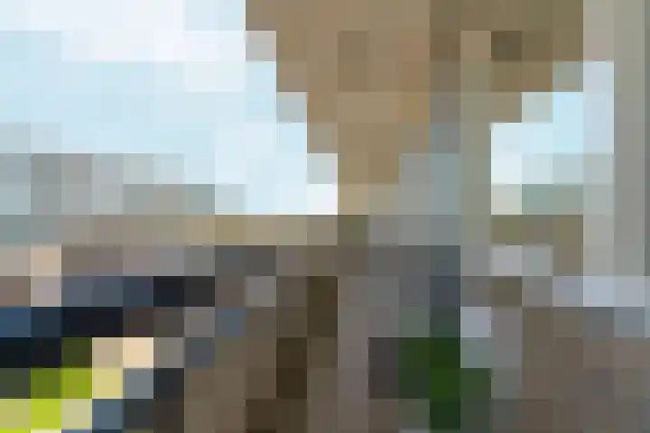 Hisveltplein 78 Arnhem thumbnail 20