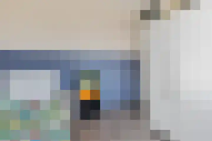 Hjouwerpaed 13 Ureterp thumbnail 19