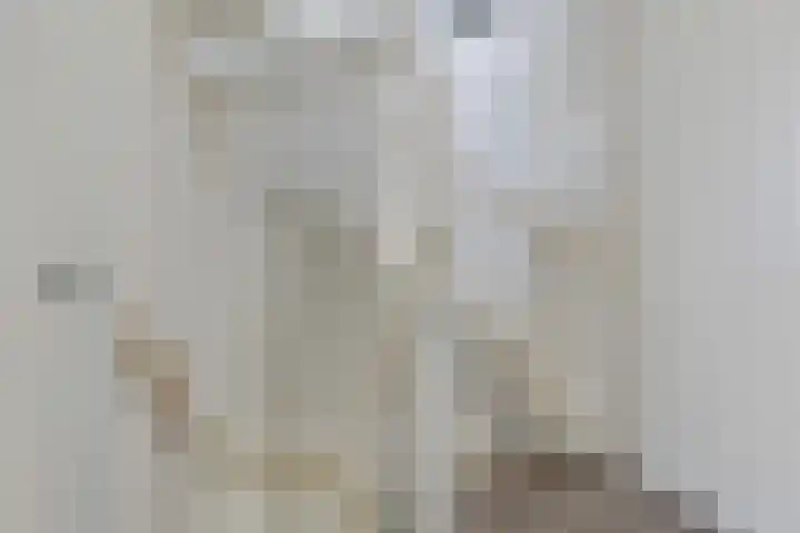Hjouwerpaed 13 Ureterp thumbnail 25