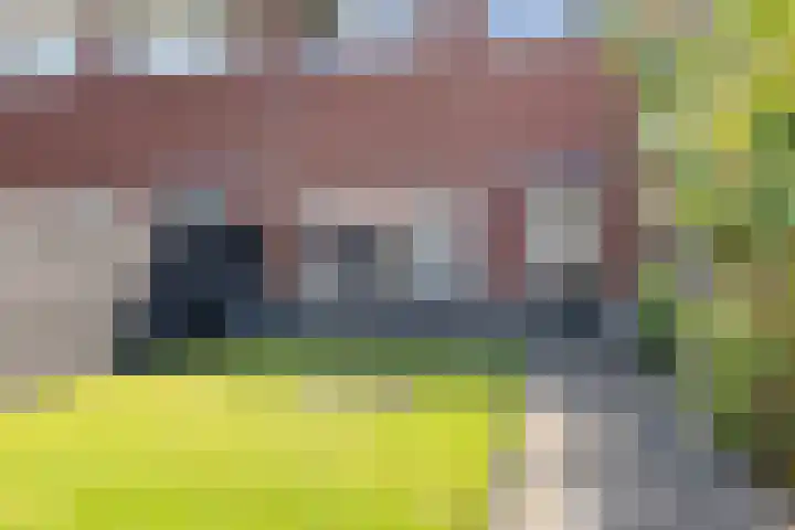 Hjouwerpaed 13 Ureterp thumbnail 29