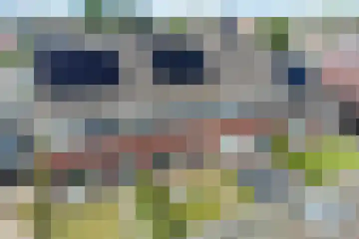 Hjouwerpaed 13 Ureterp thumbnail 36