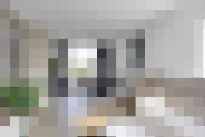 Hoannekamp 24 Langweer thumbnail 10