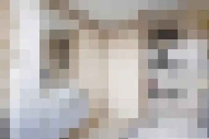 Hoannekamp 24 Langweer thumbnail 27