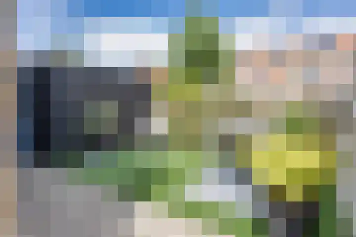 Hoannekamp 24 Langweer thumbnail 35