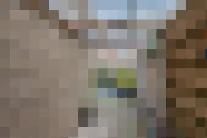 Hoannekamp 24 Langweer thumbnail 40