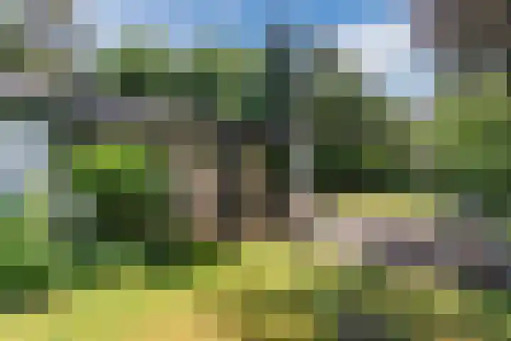 Hobbel 16 Riethoven thumbnail 40
