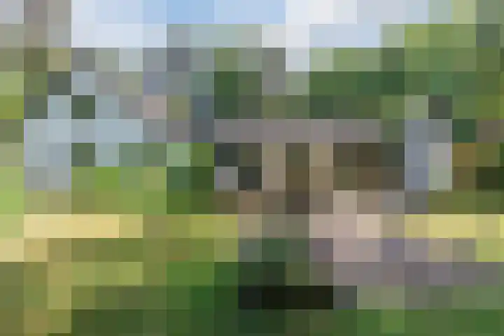 Hobbel 16 Riethoven thumbnail 42