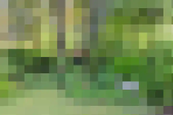 Hobbel 16 Riethoven thumbnail 43