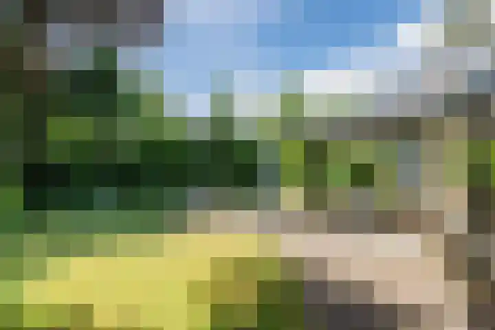 Hobbel 16 Riethoven thumbnail 45
