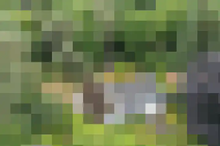 Hobbel 16 Riethoven thumbnail 46