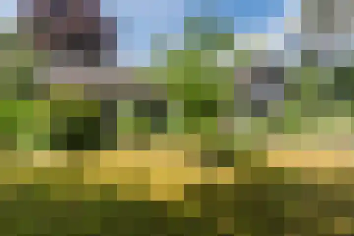 Hobbel 16 Riethoven thumbnail 5
