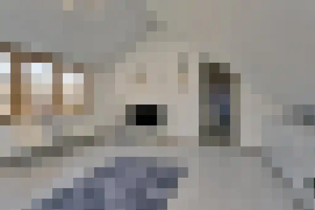 Hobbelrade 105 Spaubeek thumbnail 38